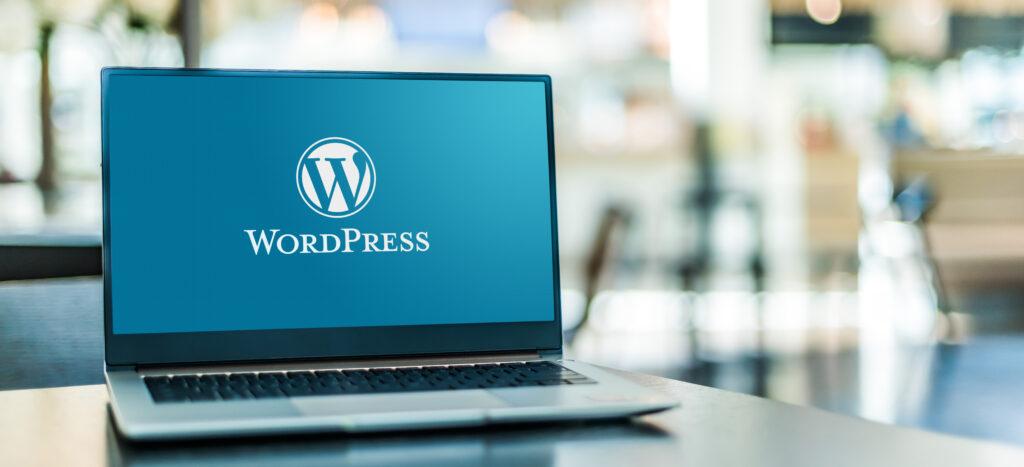 Beutiful Web Sites that you will love. Get more business with the power of WordPress, Great Copy and Eyeballs.
